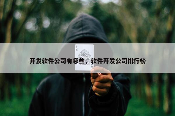 开发软件公司有哪些，软件开发公司排行榜
