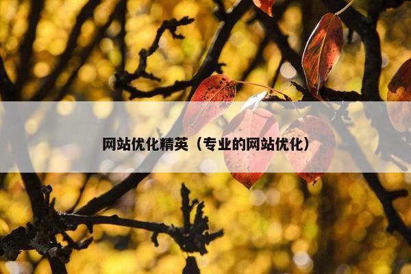 网站优化精英（专业的网站优化）