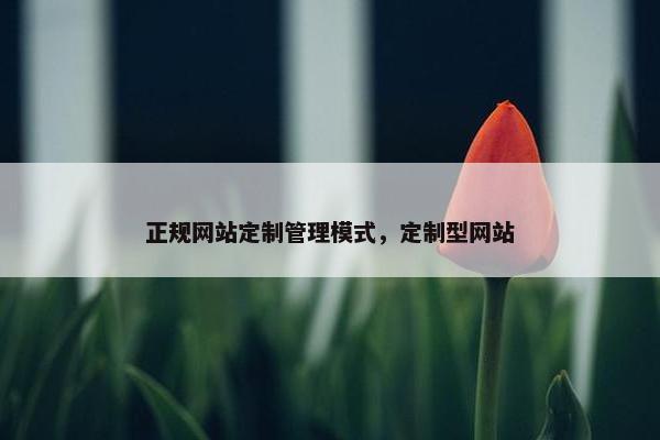 正规网站定制管理模式，定制型网站