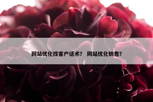 网站优化找客户话术？ 网站优化销售？