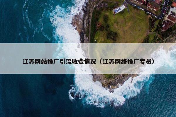 江苏网站推广引流收费情况（江苏网络推广专员）