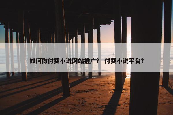 如何做付费小说网站推广？ 付费小说平台？
