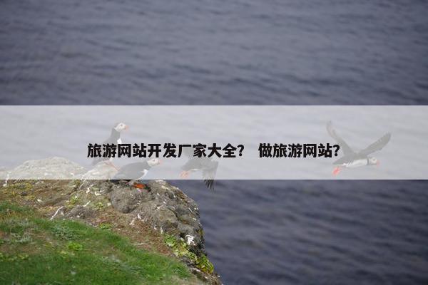 旅游网站开发厂家大全？ 做旅游网站？