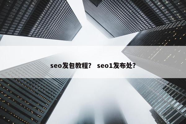 seo发包教程？ seo1发布处？
