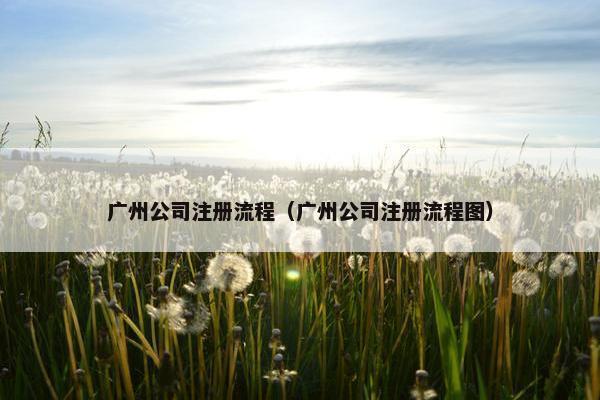 广州公司注册流程（广州公司注册流程图）