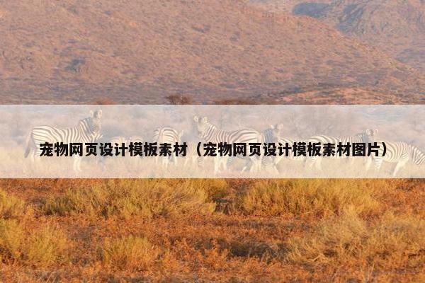 宠物网页设计模板素材（宠物网页设计模板素材图片）