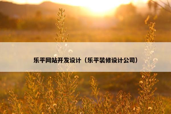乐平网站开发设计（乐平装修设计公司）