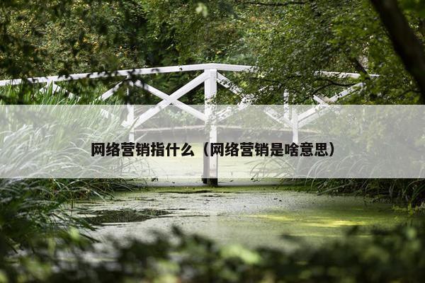 网络营销指什么（网络营销是啥意思）