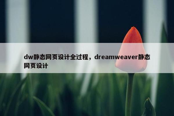 dw静态网页设计全过程，dreamweaver静态网页设计