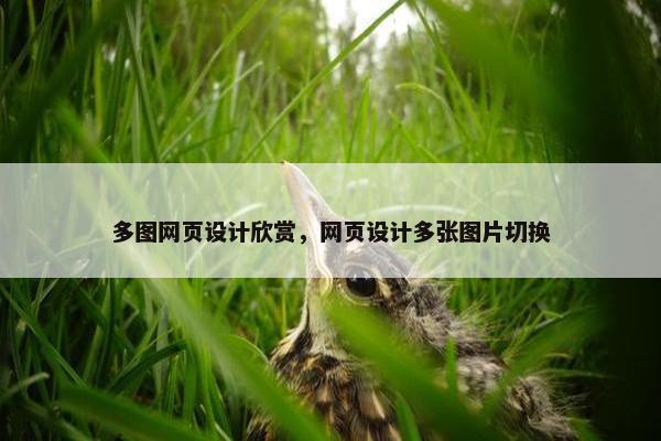 多图网页设计欣赏，网页设计多张图片切换