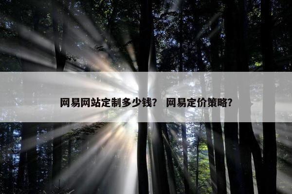 网易网站定制多少钱？ 网易定价策略？