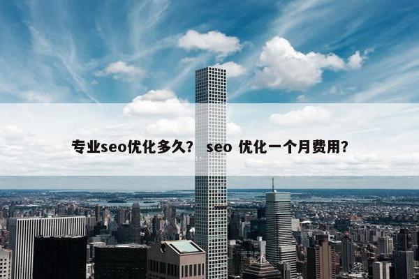 专业seo优化多久？ seo 优化一个月费用？