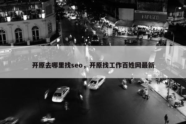 开原去哪里找seo，开原找工作百姓网最新