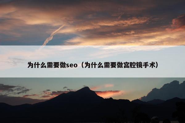 为什么需要做seo（为什么需要做宫腔镜手术）
