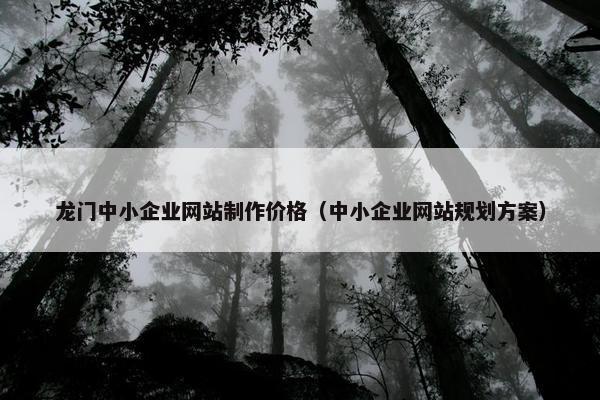 龙门中小企业网站制作价格（中小企业网站规划方案）