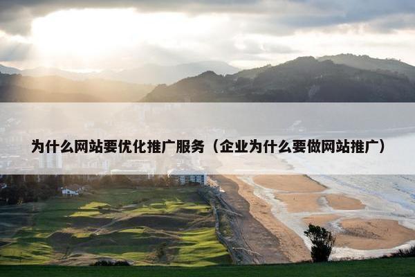 为什么网站要优化推广服务（企业为什么要做网站推广）