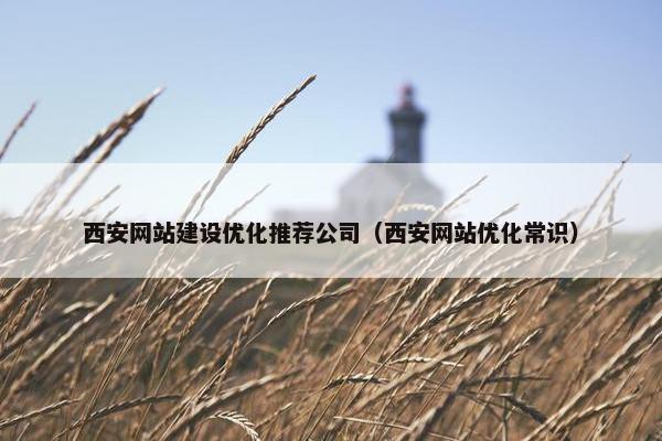 西安网站建设优化推荐公司（西安网站优化常识）