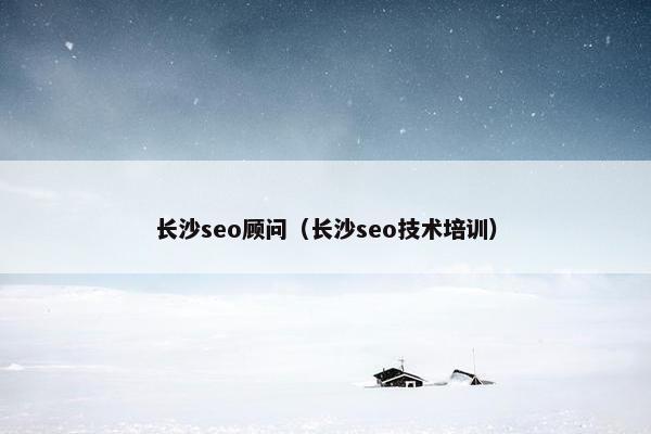 长沙seo顾问（长沙seo技术培训）