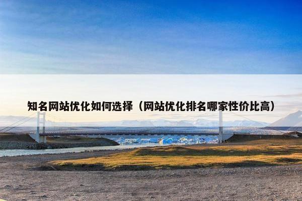知名网站优化如何选择（网站优化排名哪家性价比高）