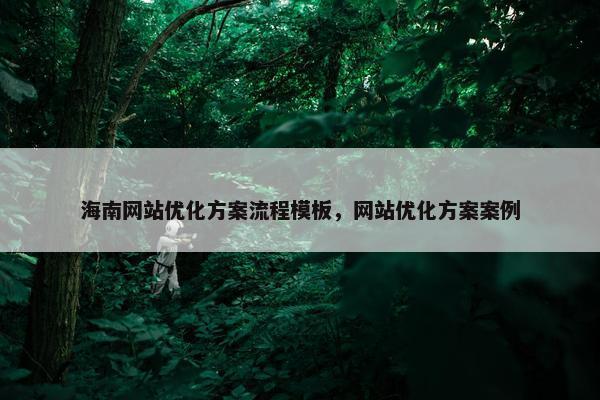 海南网站优化方案流程模板，网站优化方案案例