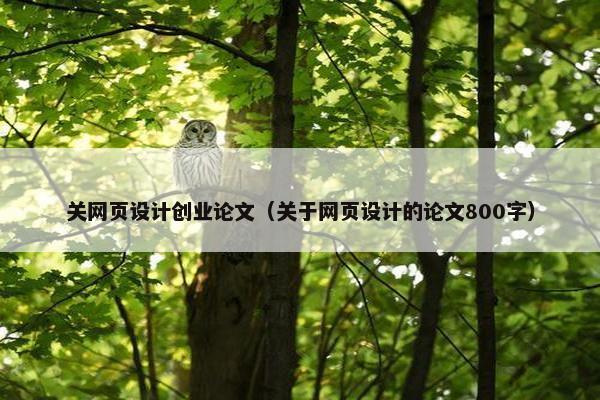 关网页设计创业论文（关于网页设计的论文800字）