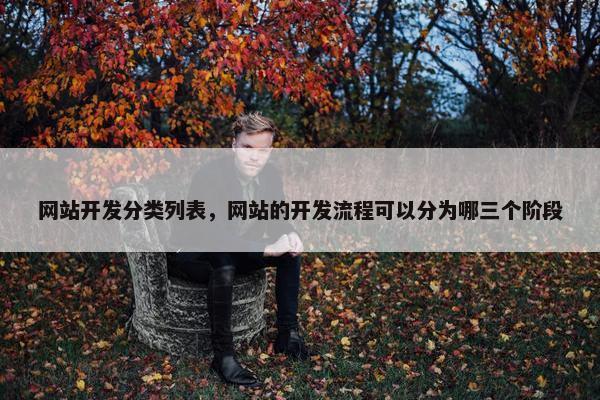 网站开发分类列表，网站的开发流程可以分为哪三个阶段