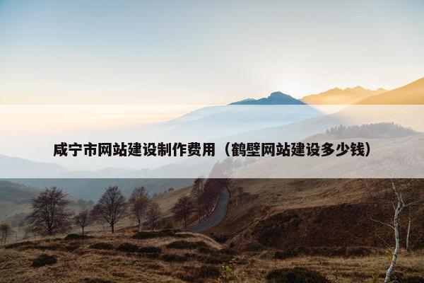 咸宁市网站建设制作费用（鹤壁网站建设多少钱）