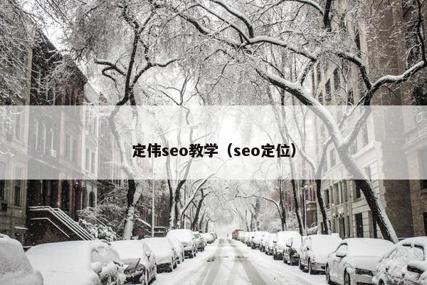 定伟seo教学（seo定位）