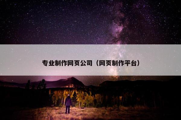 专业制作网页公司（网页制作平台）
