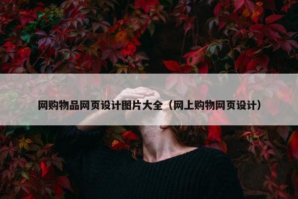 网购物品网页设计图片大全（网上购物网页设计）