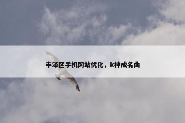 丰泽区手机网站优化，k神成名曲