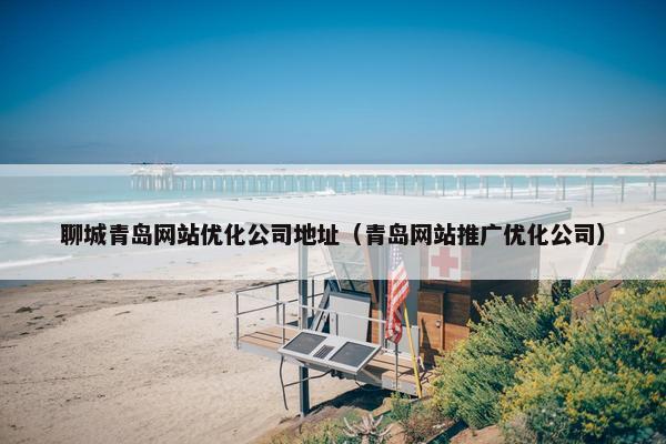聊城青岛网站优化公司地址（青岛网站推广优化公司）