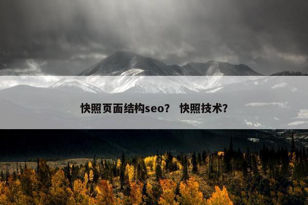 快照页面结构seo？ 快照技术？