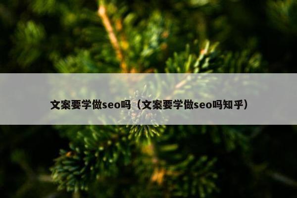 文案要学做seo吗（文案要学做seo吗知乎）