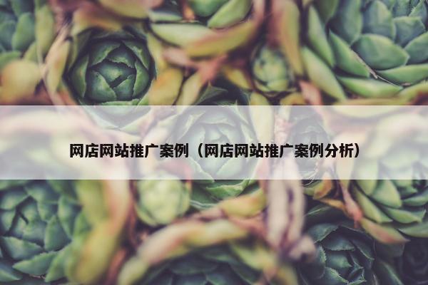 网店网站推广案例（网店网站推广案例分析）