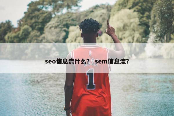 seo信息流什么？ sem信息流？