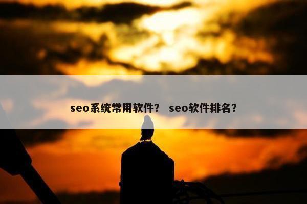 seo系统常用软件？ seo软件排名？