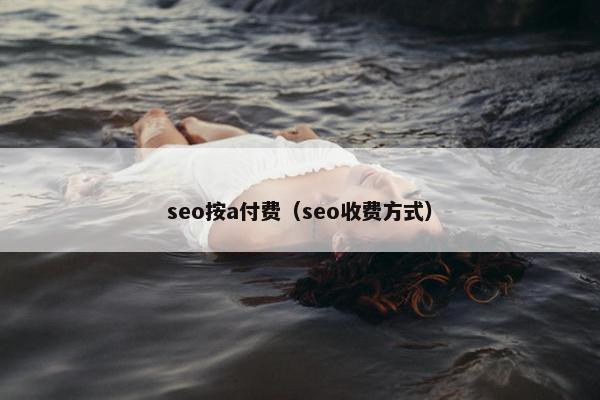 seo按a付费（seo收费方式）