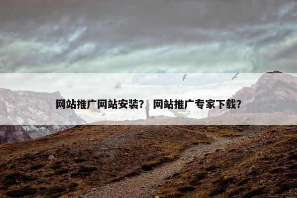 网站推广网站安装？ 网站推广专家下载？