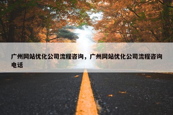 广州网站优化公司流程咨询，广州网站优化公司流程咨询电话