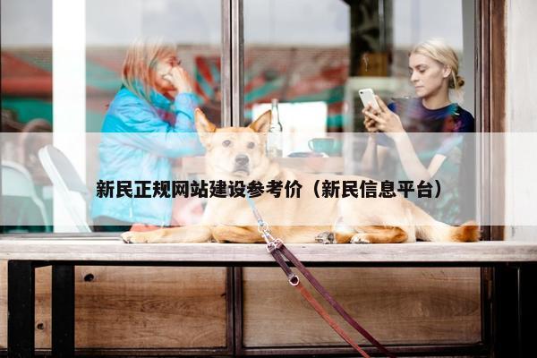 新民正规网站建设参考价（新民信息平台）