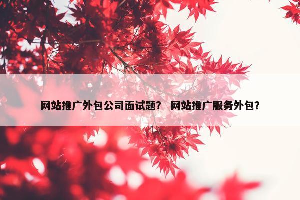 网站推广外包公司面试题？ 网站推广服务外包？