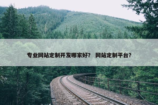 专业网站定制开发哪家好？ 网站定制平台？