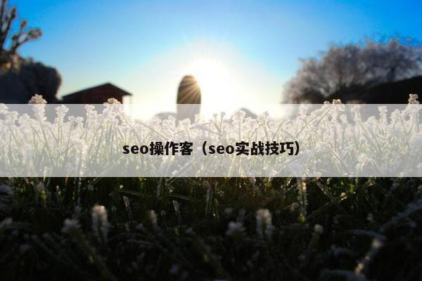 seo操作客（seo实战技巧）