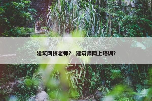 建筑网校老师？ 建筑师网上培训？
