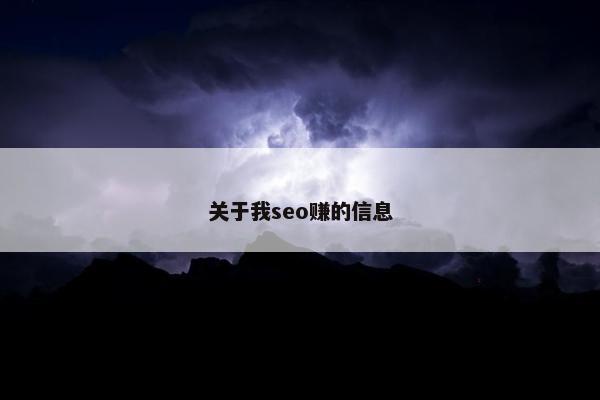 关于我seo赚的信息