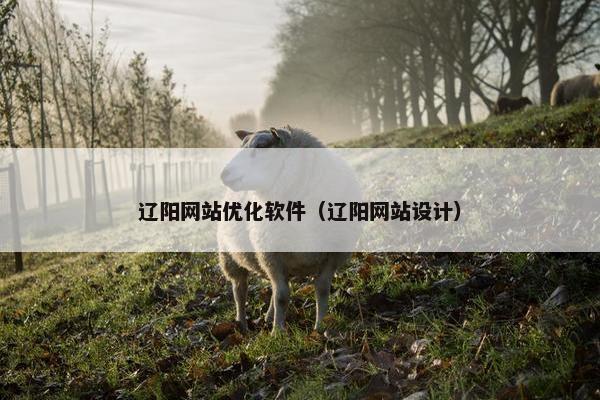 辽阳网站优化软件（辽阳网站设计）