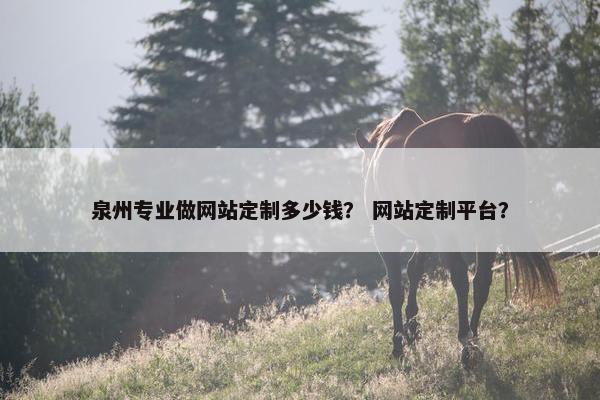 泉州专业做网站定制多少钱？ 网站定制平台？