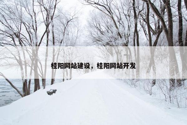 桂阳网站建设，桂阳网站开发