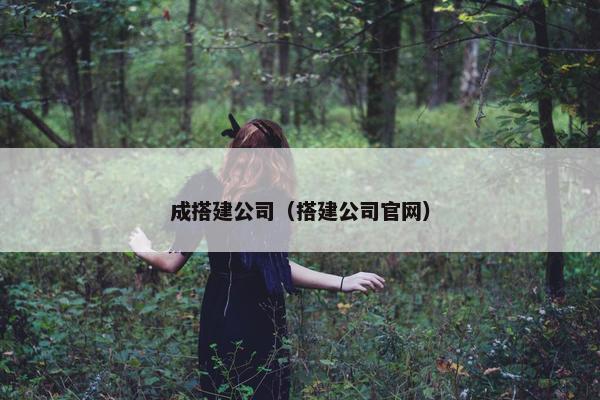 成搭建公司（搭建公司官网）